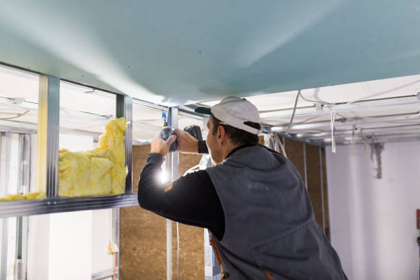 Best Wall Insulation Installation  in Gastonia, NC